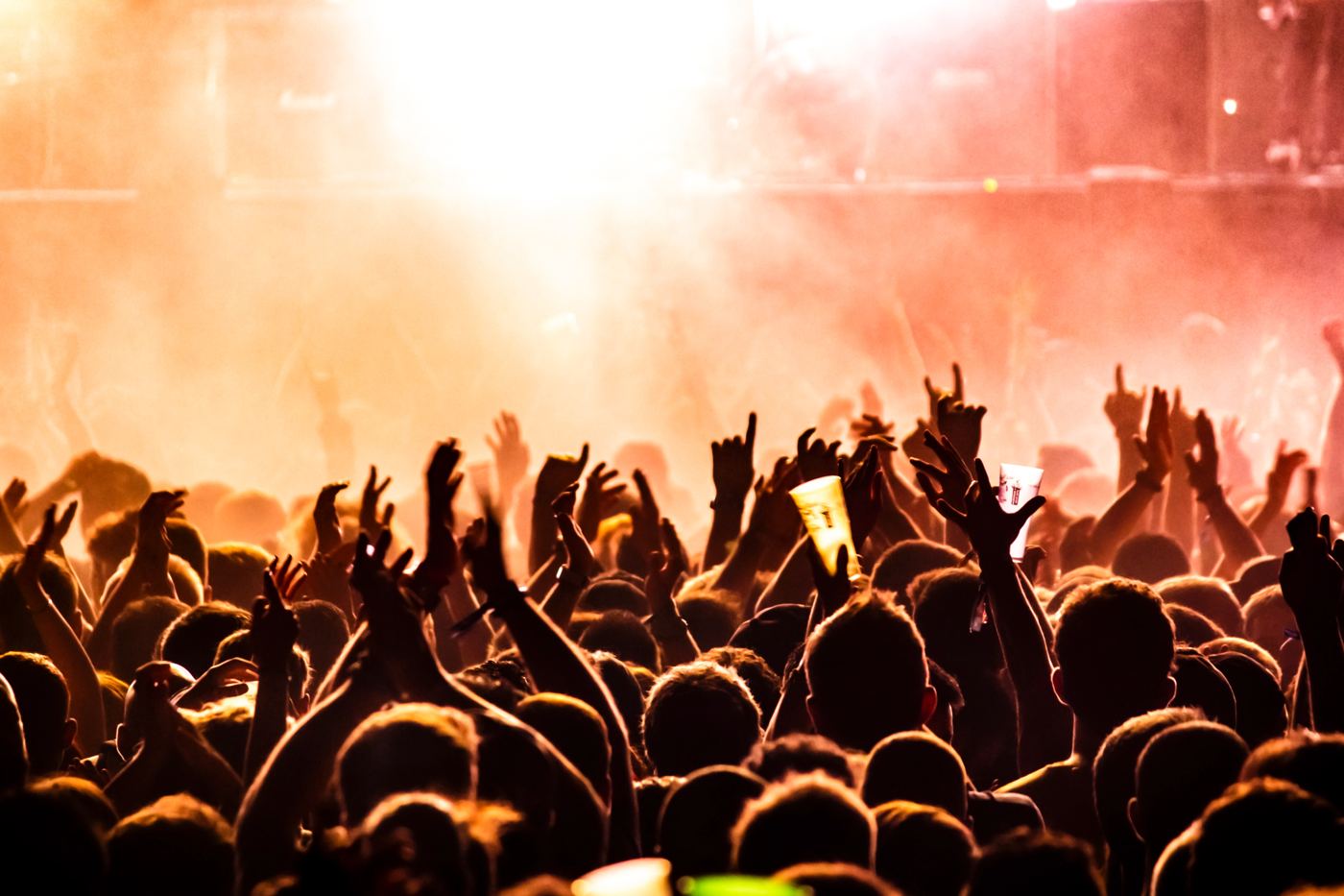 Crowd watching a live concert with raised hands